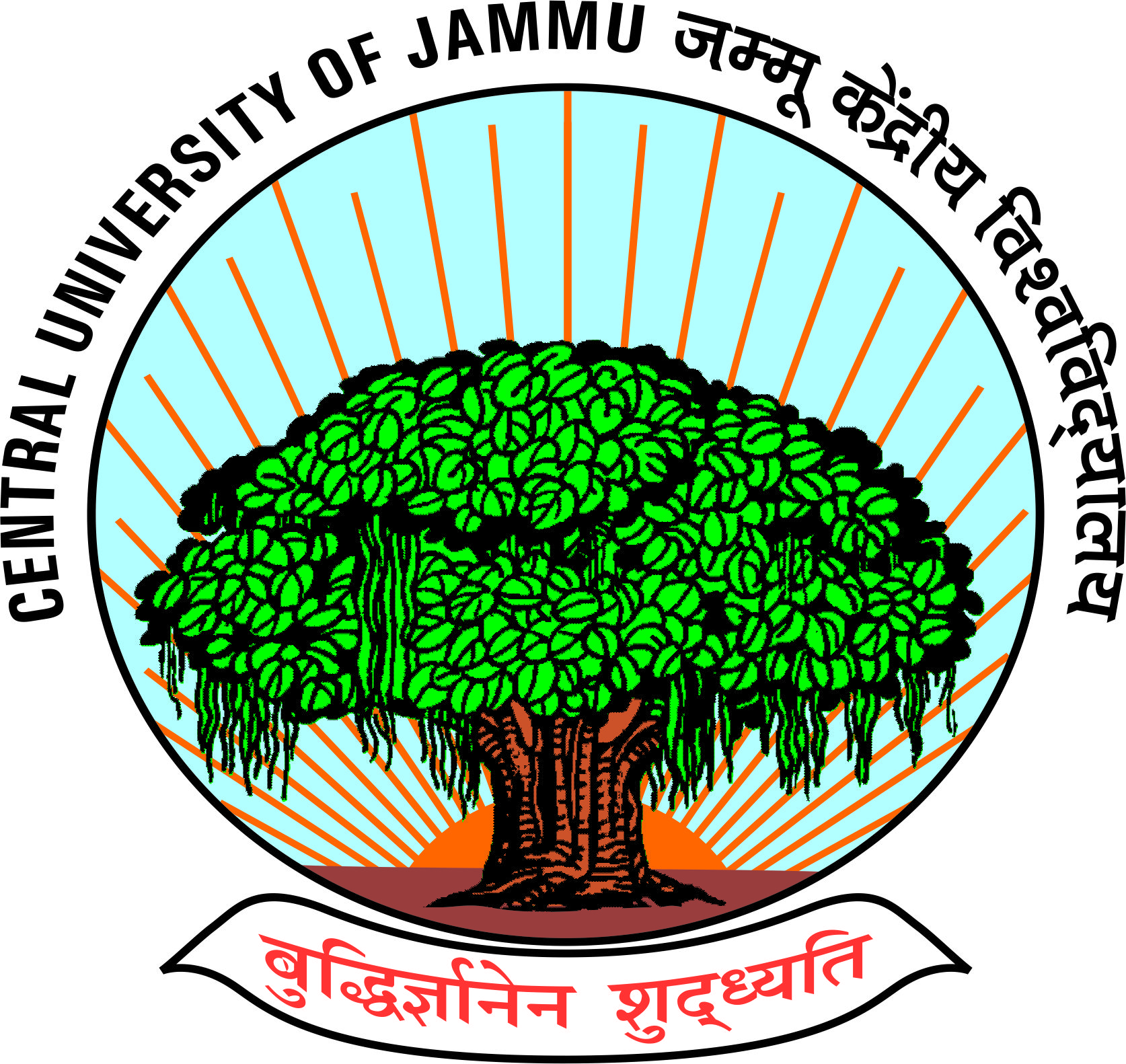 CUJ claims record 250 Campus placements